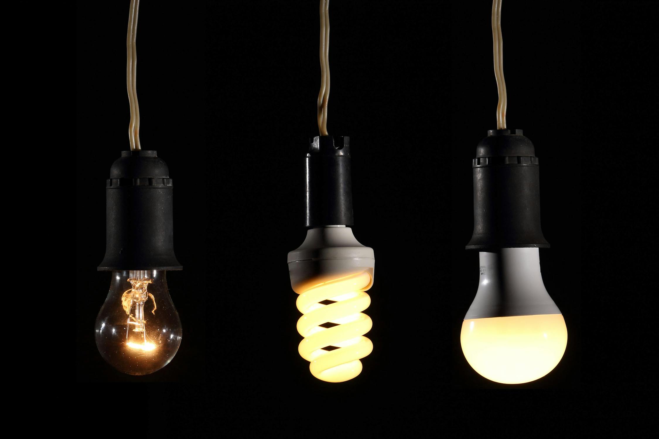 Incandescent, CFL, and LED light bulbs side by side against a black background showing the evolution of lighting technology